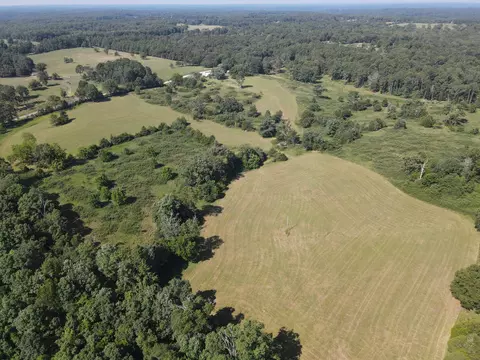 Other - 494 N T Hwy, Birch Tree, MO 65438 photo 10 of 30