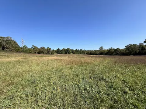 Other - 494 N T Hwy, Birch Tree, MO 65438 photo 19 of 20
