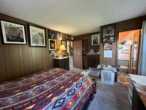 Bedroom - 494 N T Hwy, Birch Tree, MO 65438 photo 2 of 3