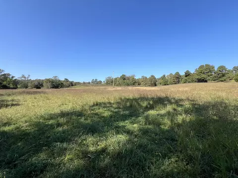 Other - 494 N T Hwy, Birch Tree, MO 65438 photo 18 of 20