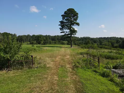 Other - 494 N T Hwy, Birch Tree, MO 65438 photo 6 of 30
