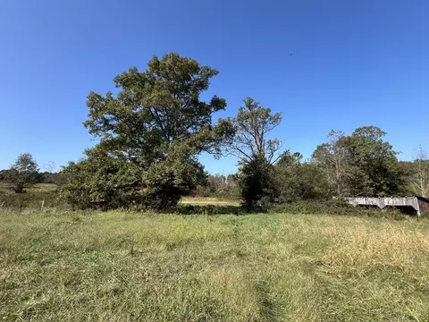 Exterior - 494 N T Hwy, Birch Tree, MO 65438 photo 15 of 16