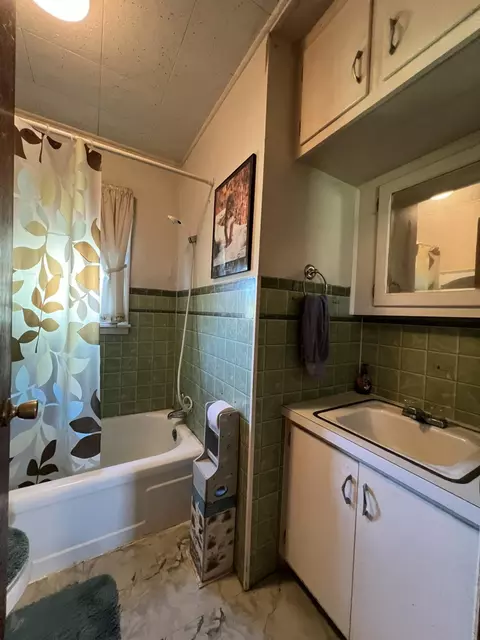 Bath - 494 N T Hwy, Birch Tree, MO 65438 photo 2 of 2