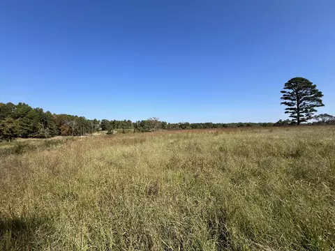 Other - 494 N T Hwy, Birch Tree, MO 65438 photo 12 of 20