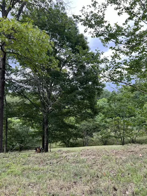 000 Vin Villa, Forsyth, MO 65653 photo 2