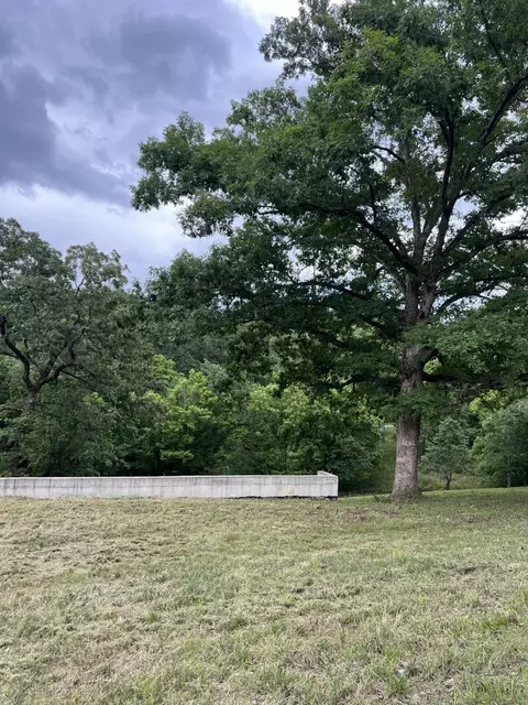 000 Vin Villa, Forsyth, MO 65653 photo 4