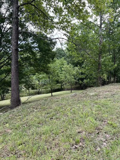 000 Vin Villa, Forsyth, MO 65653 photo 14