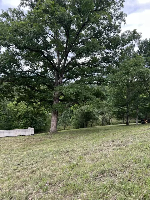 000 Vin Villa, Forsyth, MO 65653 photo 3