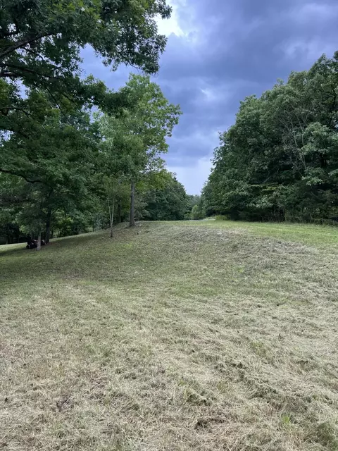000 Vin Villa, Forsyth, MO 65653 photo 5