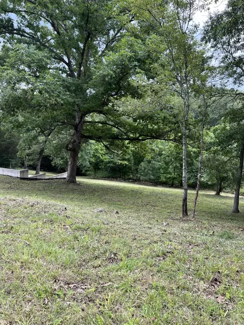 000 Vin Villa, Forsyth, MO 65653 photo 17