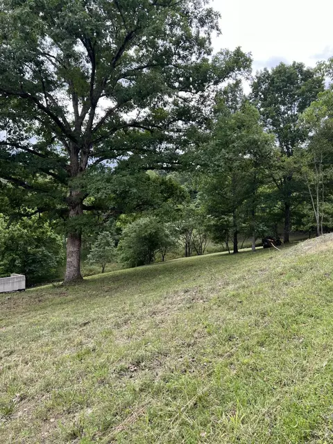000 Vin Villa, Forsyth, MO 65653 photo 10