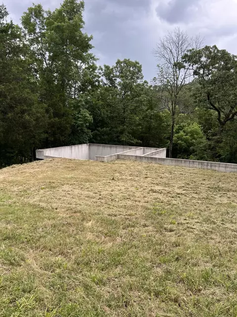 000 Vin Villa, Forsyth, MO 65653 photo 13