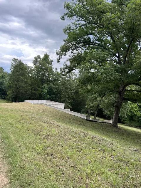000 Vin Villa, Forsyth, MO 65653 photo 16