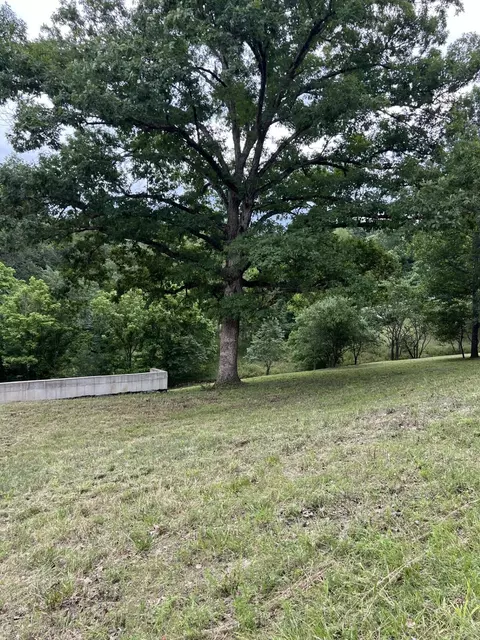 000 Vin Villa, Forsyth, MO 65653 photo 11