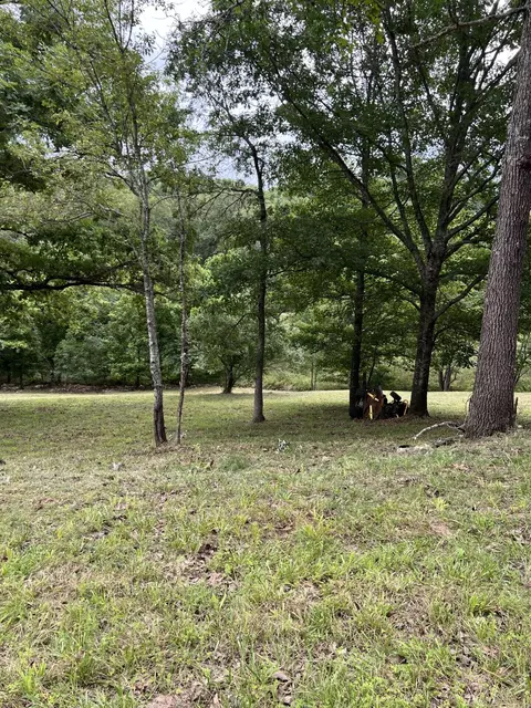 000 Vin Villa, Forsyth, MO 65653 photo 15