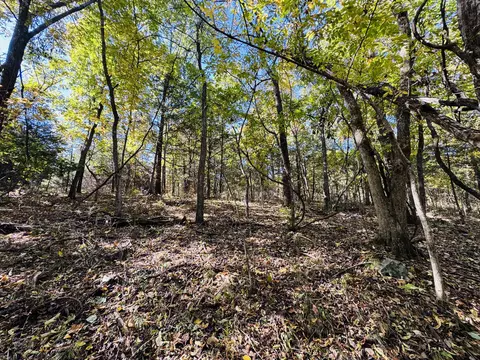 01 E Dade 12 # A, Arcola, MO 65603 photo 12