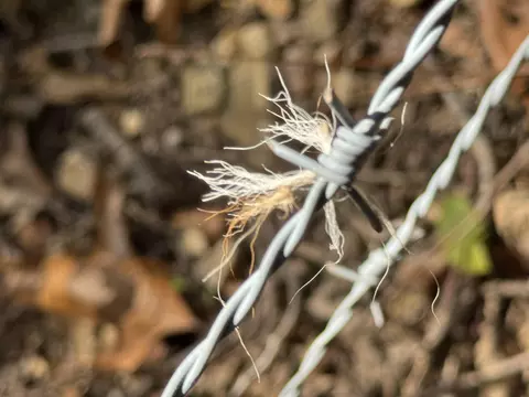 01 E Dade 12 # A, Arcola, MO 65603 photo 5