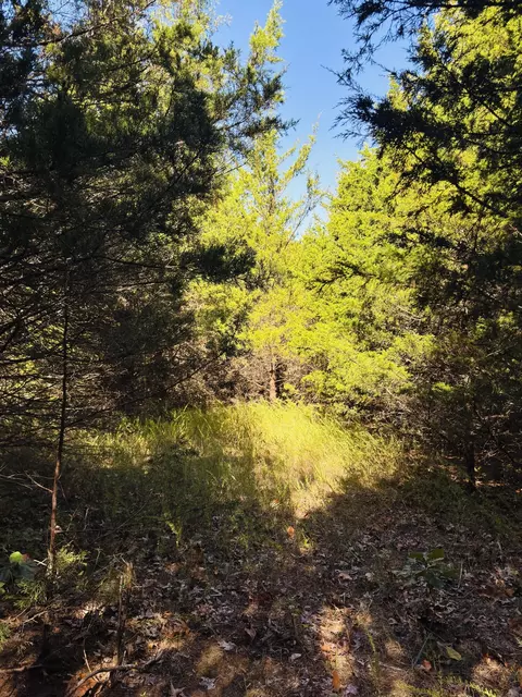 01 E Dade 12 # A, Arcola, MO 65603 photo 10