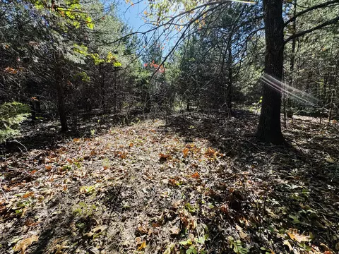 01 E Dade 12 # A, Arcola, MO 65603 photo 13