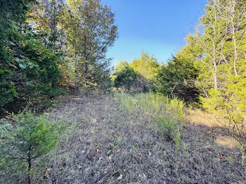 01 E Dade 12 # A, Arcola, MO 65603 photo 8