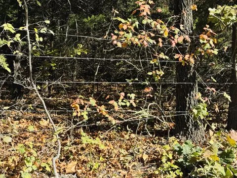 01 E Dade 12 # A, Arcola, MO 65603 photo 6