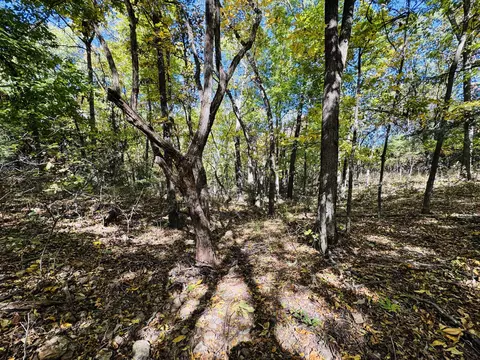01 E Dade 12 # A, Arcola, MO 65603 photo 11