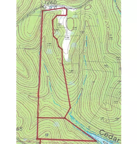000 Buttermilk Spring Rd, Galena, MO 65656 photo 12