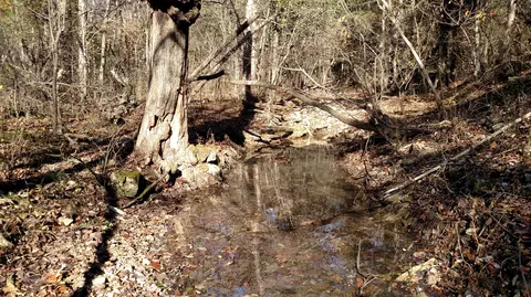 000 Buttermilk Spring Rd, Galena, MO 65656 photo 3