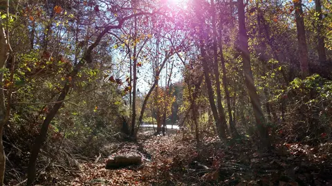000 Buttermilk Spring Rd, Galena, MO 65656