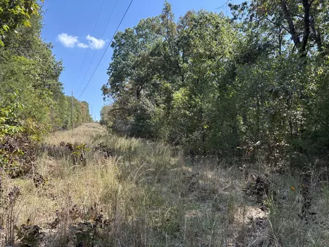 tbd Lightning Springs Rd, Protem, MO 65733