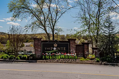 Other - 158 Troon Dr #20, Branson, MO 65616 photo 4 of 6