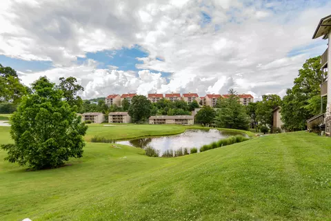 View/Area - 158 Troon Dr #20, Branson, MO 65616 photo 1 of 1
