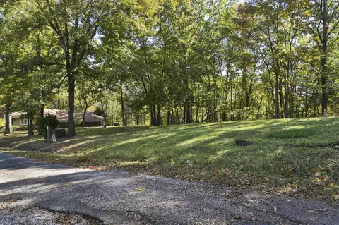 00 Whitedove Ln, Lampe, MO 65681