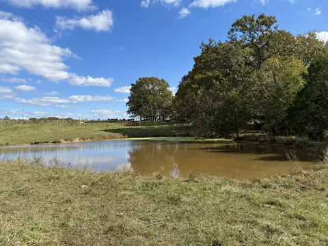 000 Highway 17, Houston, MO 65483