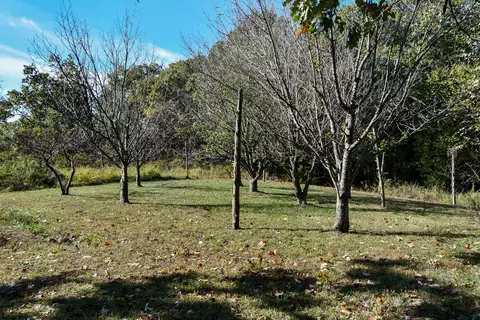 8131 State Hwy W, Ozark, MO 65721 photo 72