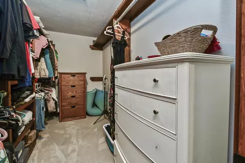 Other - 3464 E Bluff Point Dr, Ozark, MO 65721 photo 19 of 24