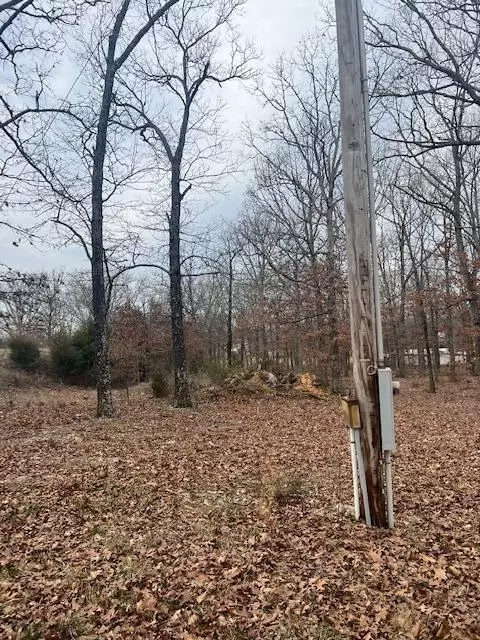 7645 Us-60, Mountain View, MO 65548 photo 9