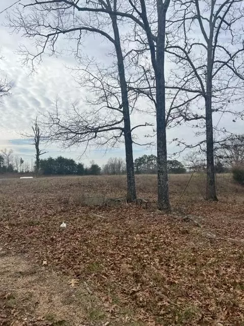 7645 Us-60, Mountain View, MO 65548 photo 8