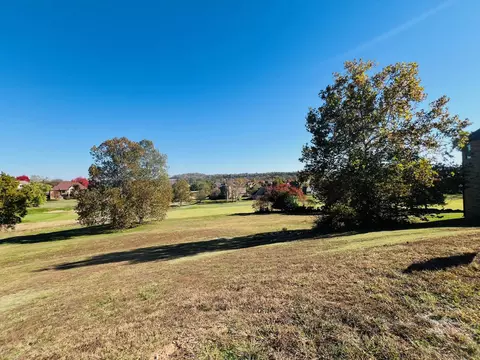 3182 W Bluffview St, Springfield, MO 65810 photo 13
