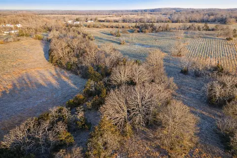 000 Wolfe Dr, Mountain Grove, MO 65711 photo 30