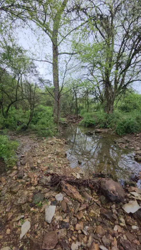 000 Wolfe Dr, Mountain Grove, MO 65711 photo 24