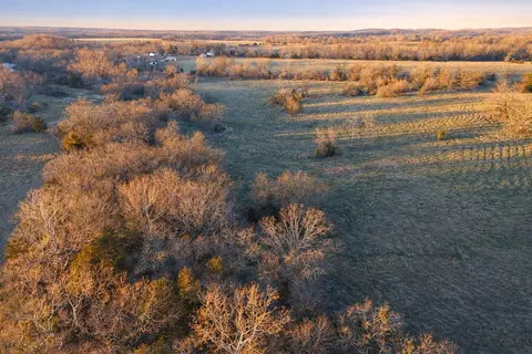 000 Wolfe Dr, Mountain Grove, MO 65711 photo 31