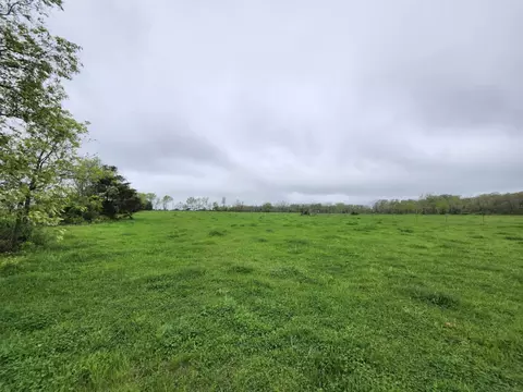 000 Wolfe Dr, Mountain Grove, MO 65711 photo 8