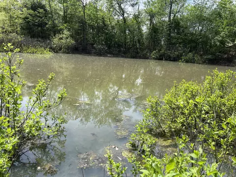 000 County Road P-309, Alton, MO 65606