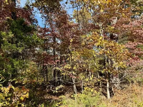 000 Private Road 5-200, Gainesville, MO 65655