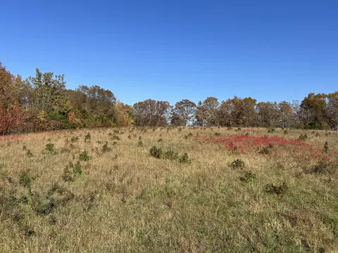 000 E Highway 14 Dr #A, Ava, MO 65608 photo 3