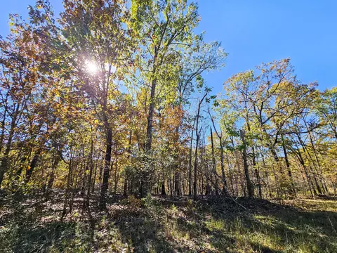 000 State Route Nn, Mountain View, MO 65548 photo 5