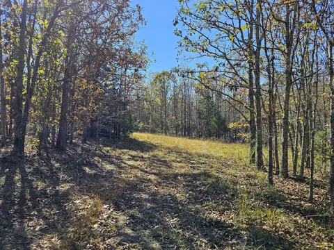 000 State Route Nn, Mountain View, MO 65548 photo 17