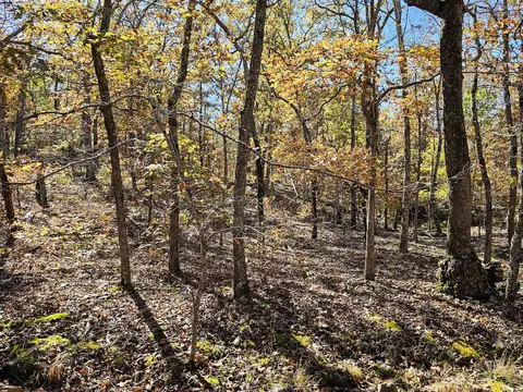 000 State Route Nn, Mountain View, MO 65548 photo 7