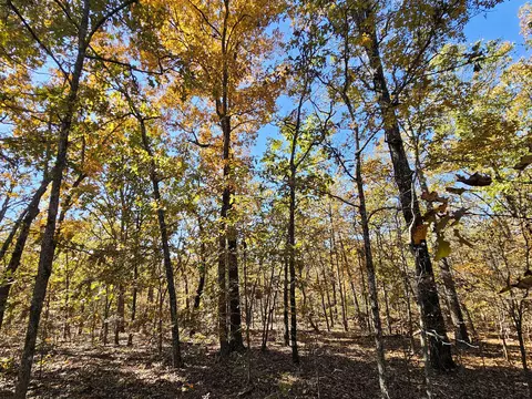 000 State Route Nn, Mountain View, MO 65548 photo 6